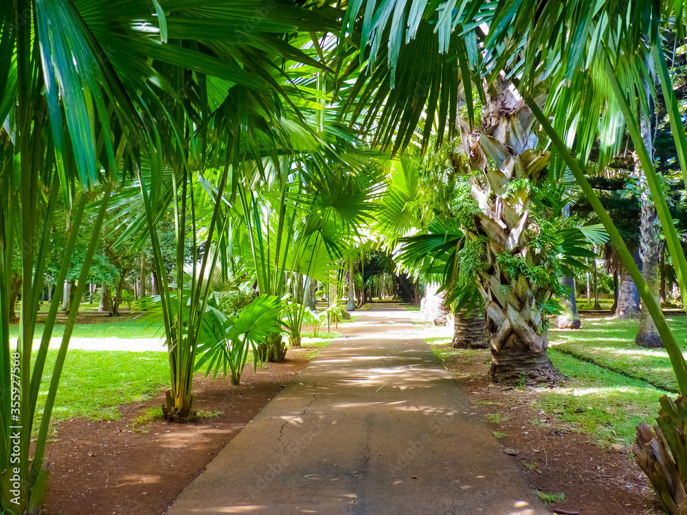 Obraz premium Sir Seewoosagur Ramgoolam Botanical Garden in Pamplemousses, Mauritius island