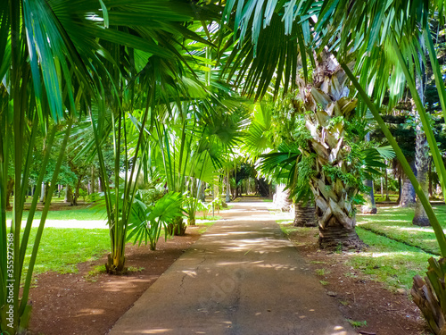 Sir Seewoosagur Ramgoolam Botanical Garden in Pamplemousses, Mauritius island © boivinnicolas