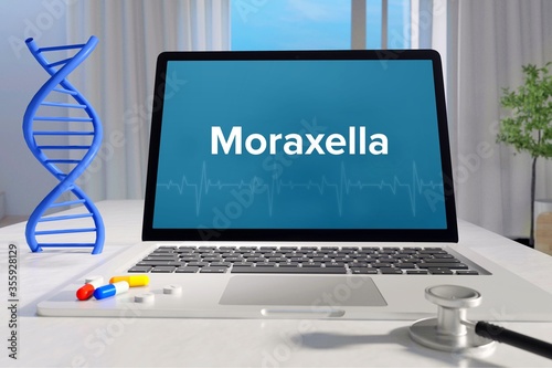 Moraxella. Laptop mit Begriff/Text auf Monitor. Computer von Arzt im Büro. DNA und Stethoskop. Medizin, Gesundheitswesen photo