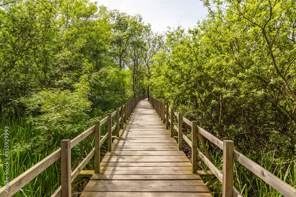 Acarlar Flood plain Forest (Turkish: Acarlar Golu Longozu) is a floodplain forest located in Sakarya Province, Turkey.