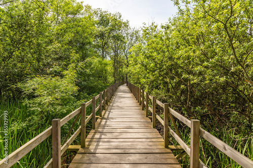 Acarlar Flood plain Forest (Turkish: Acarlar Golu Longozu) is a floodplain forest located in Sakarya Province, Turkey.