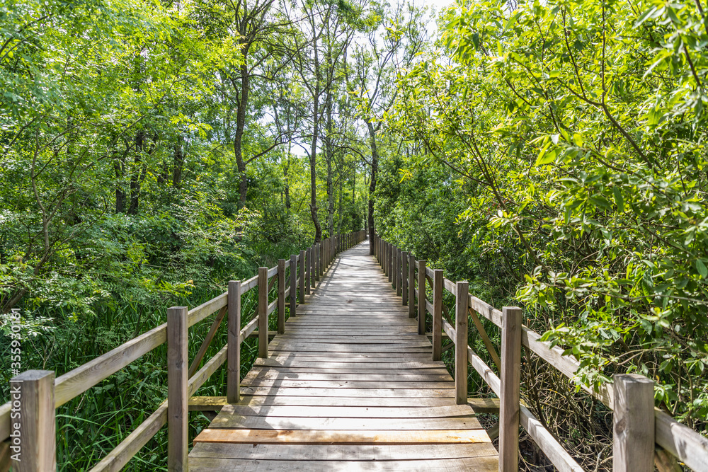Acarlar Flood plain Forest (Turkish: Acarlar Golu Longozu) is a floodplain forest located in Sakarya Province, Turkey. Acarlar Flood plain Forest (Turkish: Acarlar Golu Longozu) is a floodplain forest located in Sakarya Province, Turkey.
