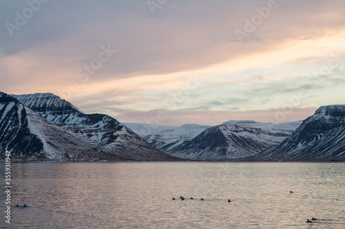 Onundarfjordur in the Icelandic west fjords at noon during midwinter. photo