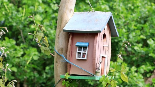 bird house on a tree, nesting box for wild birds
 photo