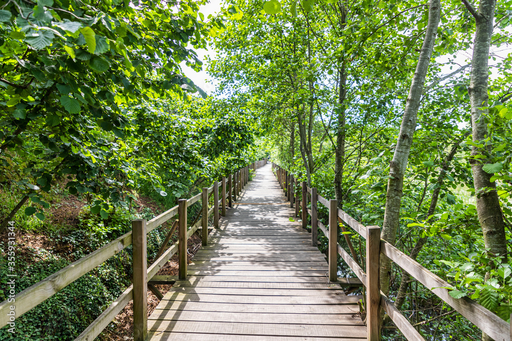 Acarlar Flood plain Forest (Turkish: Acarlar Golu Longozu) is a floodplain forest located in Sakarya Province, Turkey. Acarlar Flood plain Forest (Turkish: Acarlar Golu Longozu) is a floodplain forest located in Sakarya Province, Turkey.