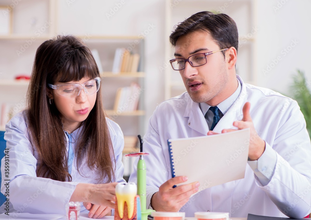 Obraz premium Dentist explaining student tooth structure