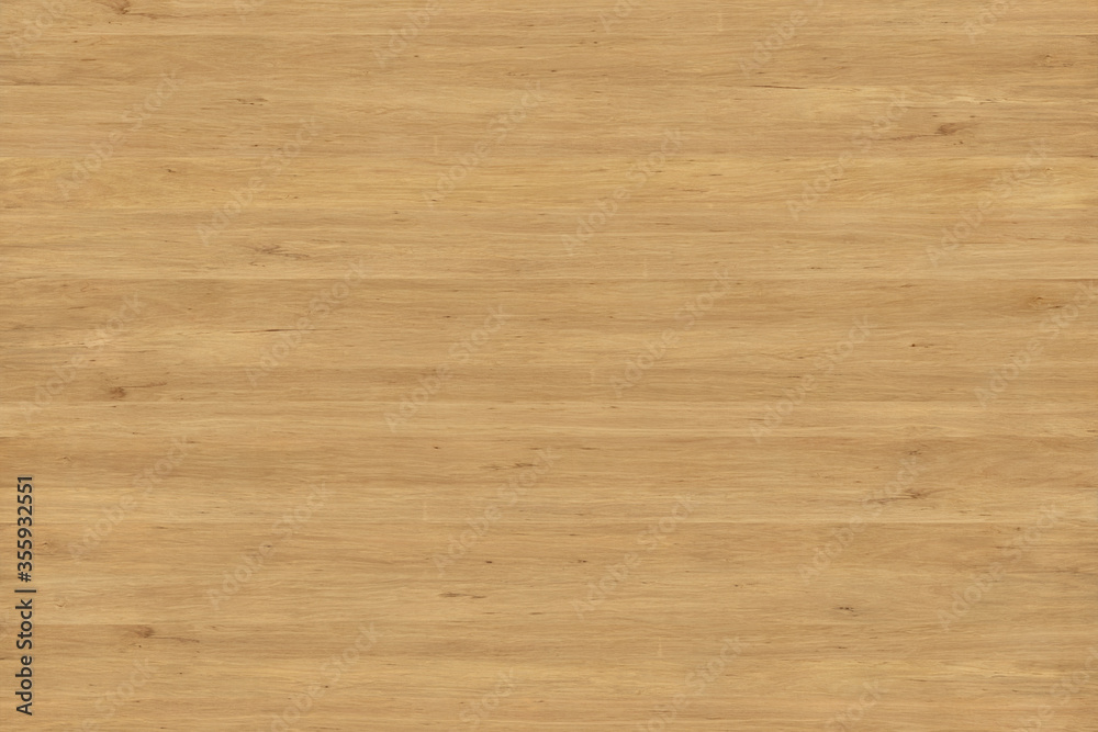 hornbeam wood tree timber background texture structure backdrop hornbeam wood tree timber background texture structure backdrop