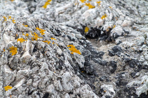 Detail of a limestone rock formation with small patches of lichen.