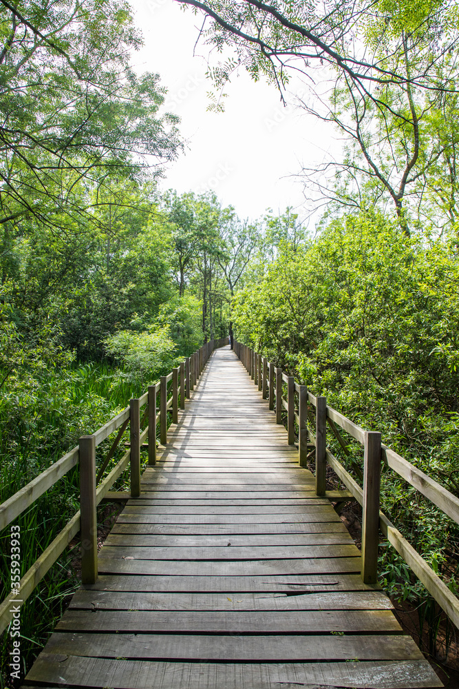 Acarlar Flood plain Forest (Turkish: Acarlar Golu Longozu) is a floodplain forest located in Sakarya Province, Turkey. Acarlar Flood plain Forest (Turkish: Acarlar Golu Longozu) is a floodplain forest located in Sakarya Province, Turkey.