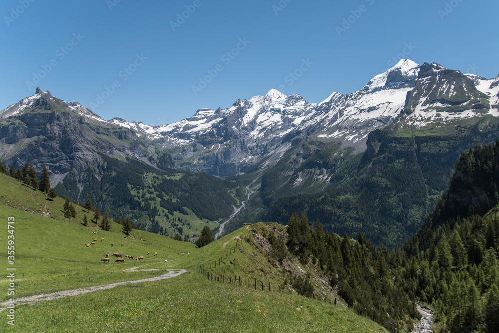 Allmenalp, Kandersteg, Berner Oberland, Schweiz