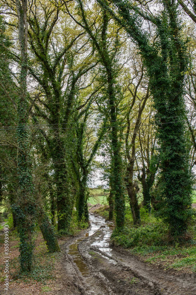 Fototapeta premium Camino de Santiago The Pilgrimage Routes to Santiago de Compostela