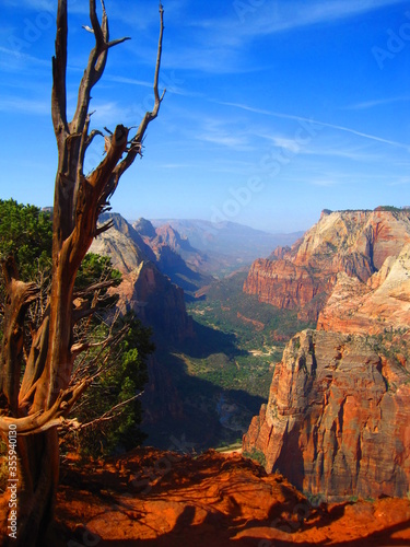 Zion National Park at Observation Point looking at Angels Landing © Cliff Goggins