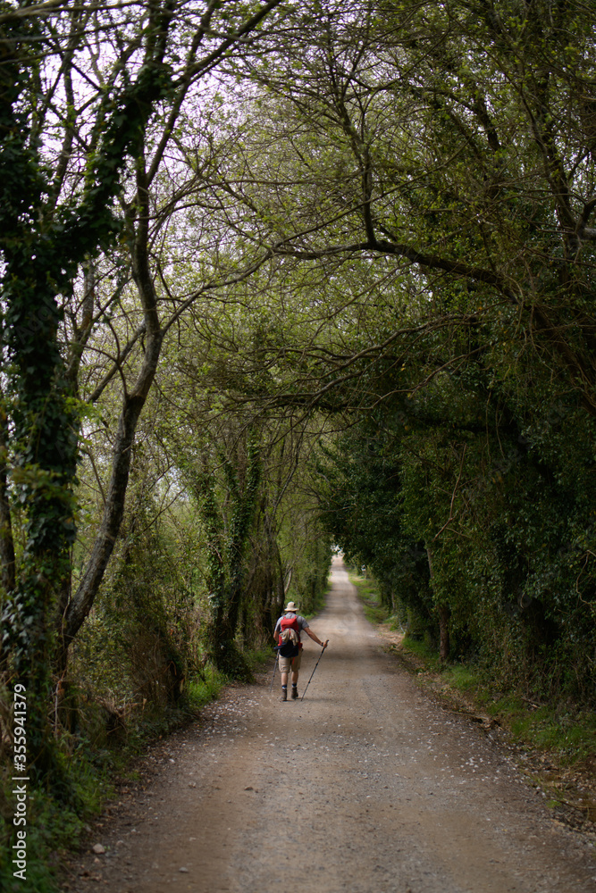 Camino de Santiago
The Pilgrimage Routes to Santiago de Compostela