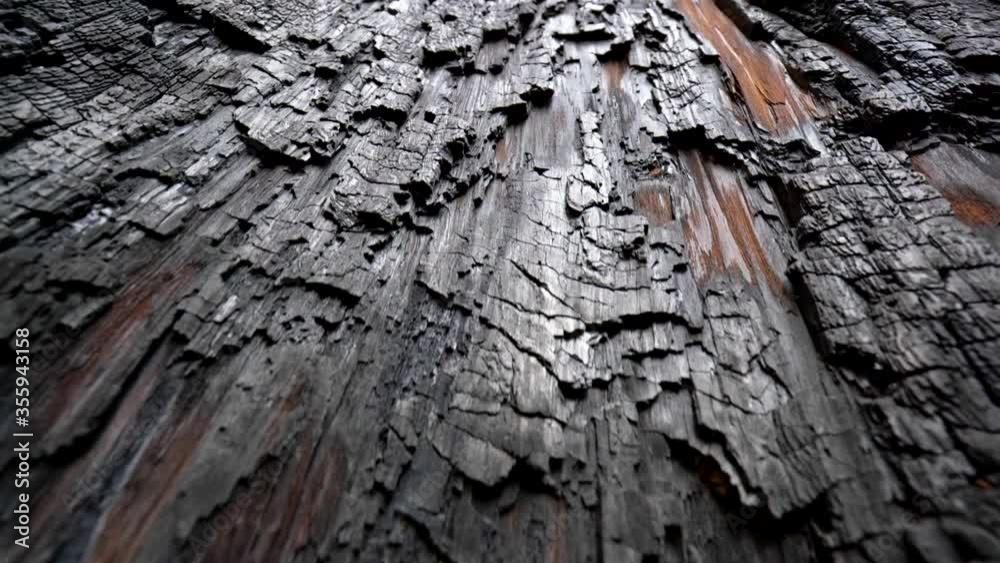 Consequence of global warming. Texture of zoomed in burnt sequoia tree in Sequoia National Park, California, USA. Macro abstract shot