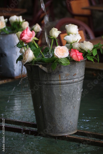 des roses sur la fontaine photo