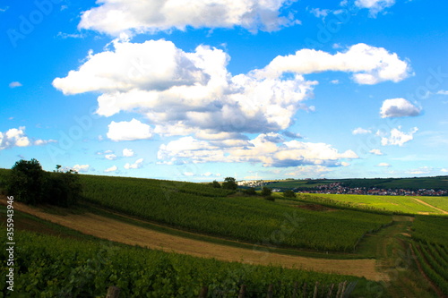 Die sehr sch  ne Aussicht   ber das Dorf Udenheim