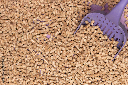 Ecological wood filler for cat litter and small animals guinea pigs, rabbits, turtles. Close-up and purple owl, toilet, background photo