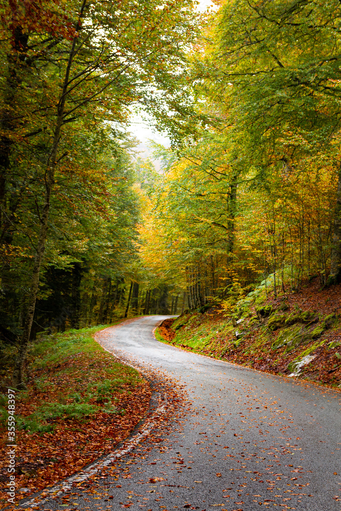 Fototapeta premium Autumnal road direction Irati jungle. Navarre, Basque Country. 