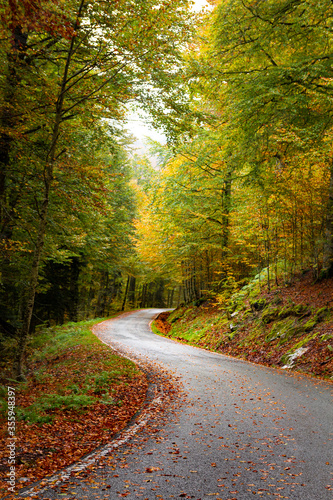 Autumnal road direction Irati jungle. Navarre, Basque Country. 