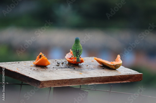 flower on the table
