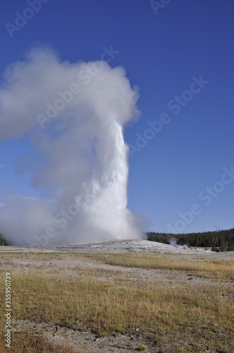 Geyser Yellowstone