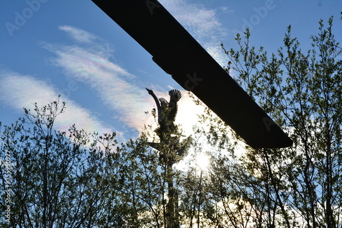 monument in the Park