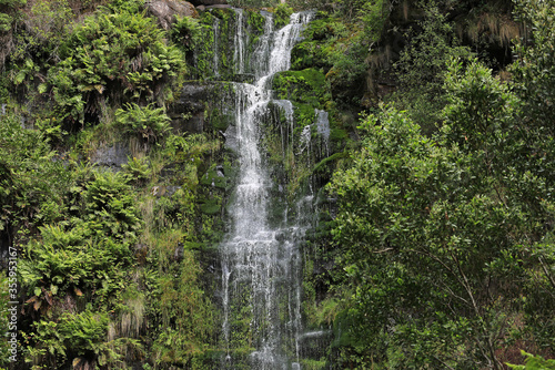 Erskine Falls - Great Otway National Park  Victoria  Australia