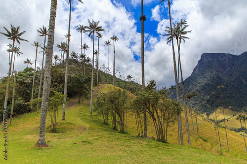 Cocora Valley colombia has the tallest wax palms in the world. It is part of Los Nevados National Natural Park, where you can hike the trails or go on horseback. The valley is in the Andean mountains.