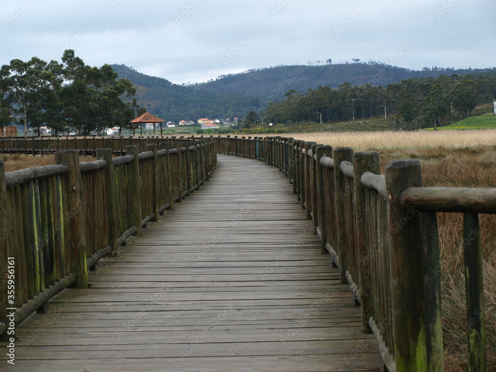 Fototapeta premium OLYMPUS DIGITAL CAMERA