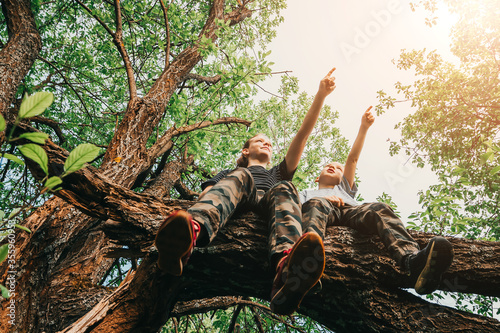 Older sister and younger brother sit together on tree in forest and point their hands against background of green trees and nature. Childhood and friendship. Two children climb on branch. Low angle