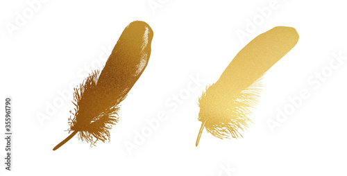 Gold Feathers Graphic Vector Illustration Set Isolated on White Background