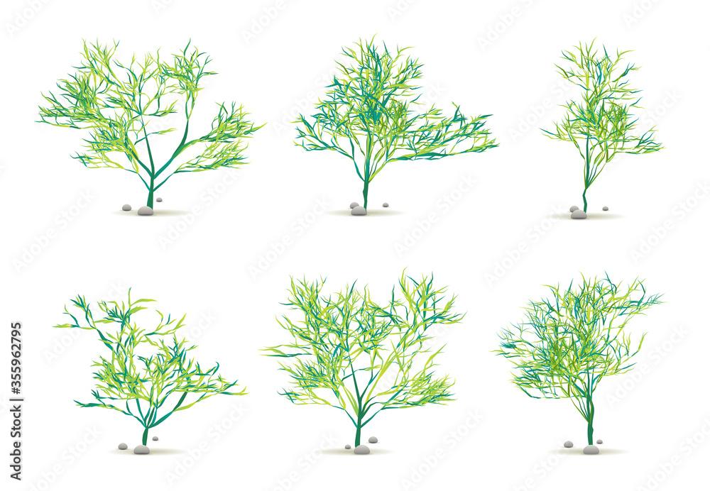 Obraz premium Seaweed Algae Hand Drawn Water Plant with Stones Set Isolated on White with Silhouette in Vector