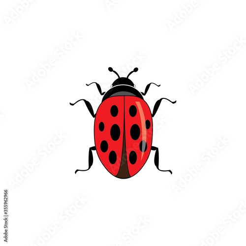 beetle icon logo vector © Catur