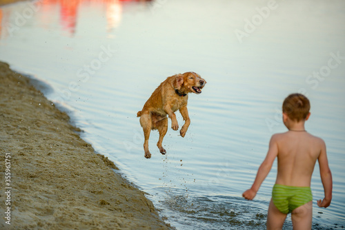 child plays with a dog on the banks of the Desna River .city Chernihiv Ukraine June 07, 2020