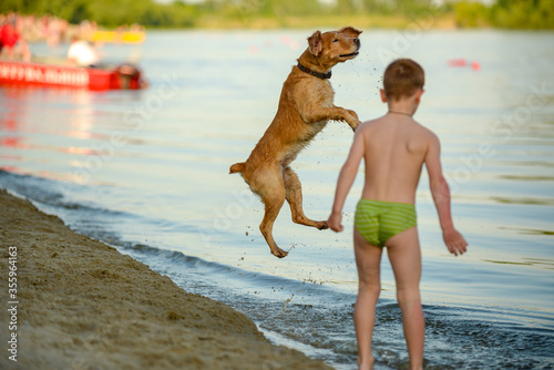 child plays with a dog on the banks of the Desna River .city Chernihiv Ukraine June 07, 2020