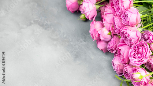 Pink roses on grey background with copy space