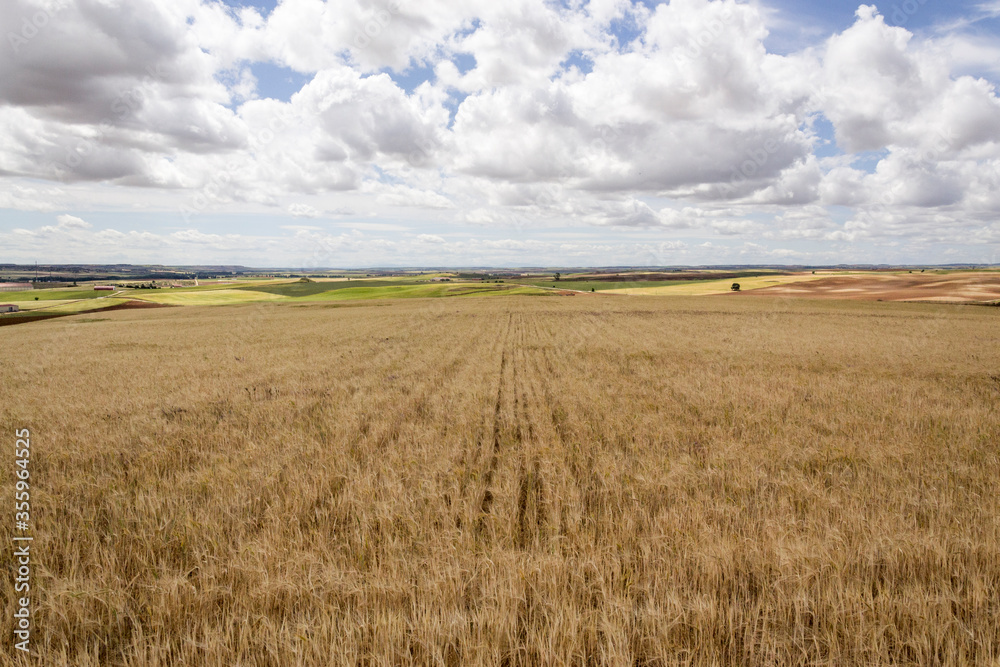 photography of a mown wheat field before the storm photography of a mown wheat field before the storm