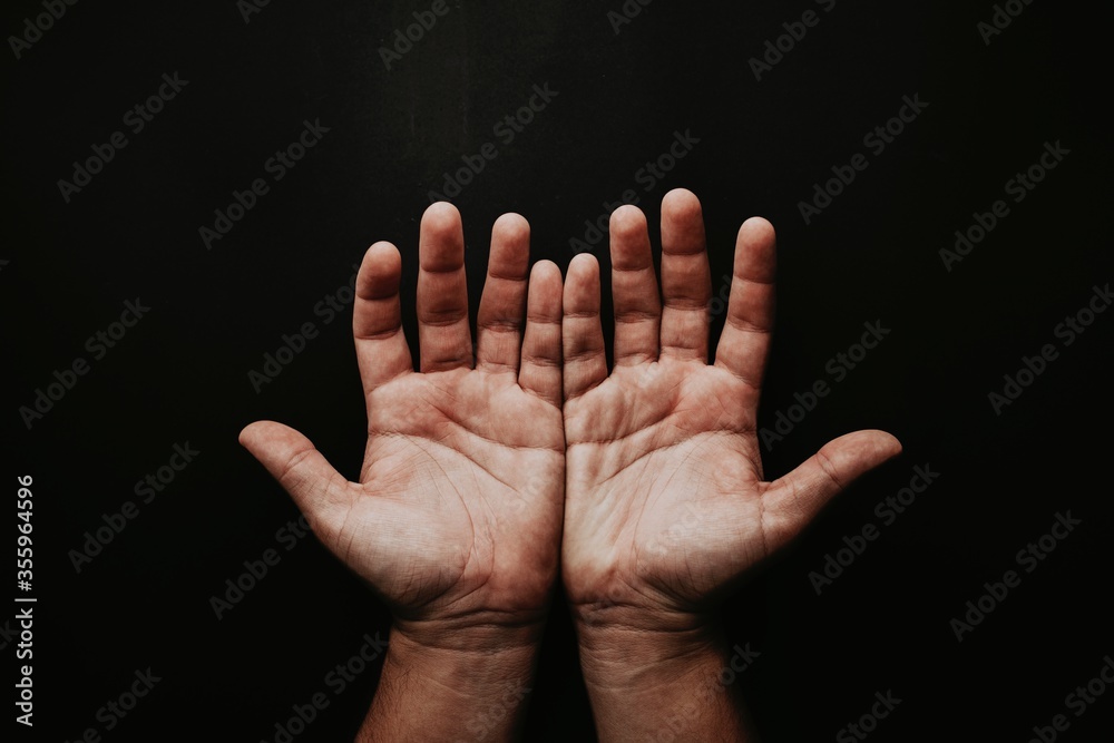 photo of persons open hands photo of persons open hands