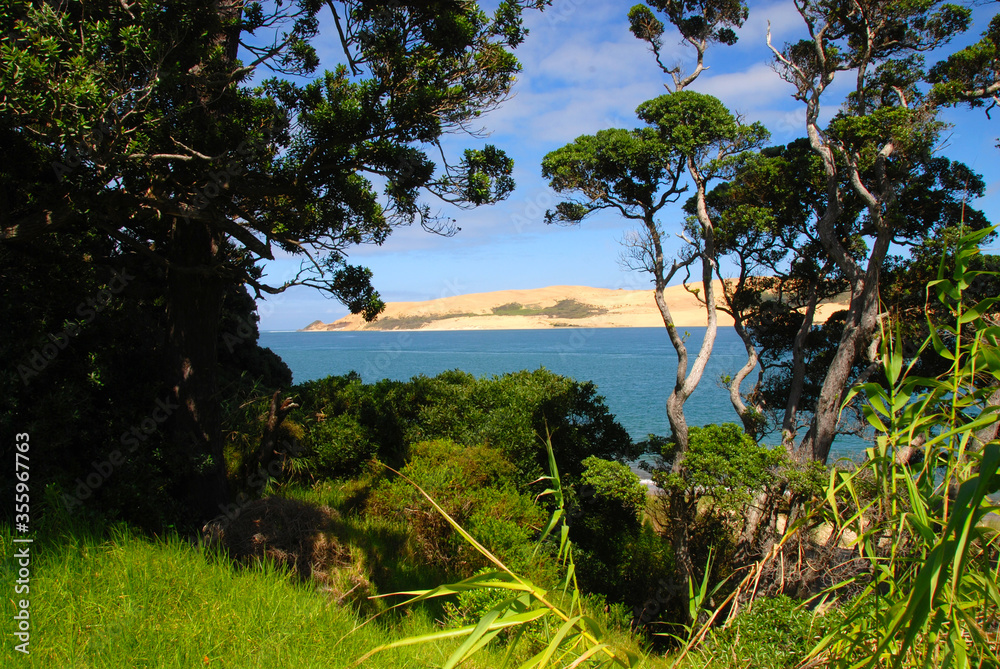 south coast on New Zealand north island near Wellington