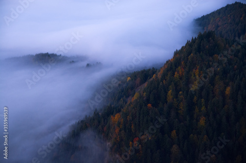 Foggy sunrise in mountains  colorful forest in Trzy Korony  Malopolskie  Poland.