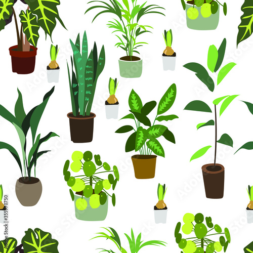Seamless pattern with the image of indoor ornamental plants on a white background. A variety of homemade flowers. The concept of home gardening, plant care. Vector drawing.