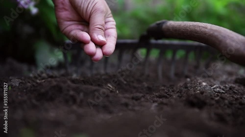 Planting organic seeds in the garden