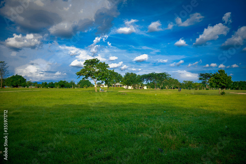 green field and blue sky