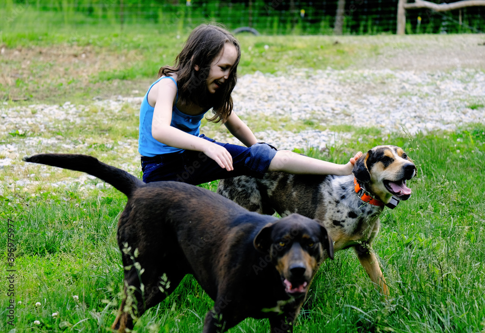 Happy young girl playing with dogs at home in yard.