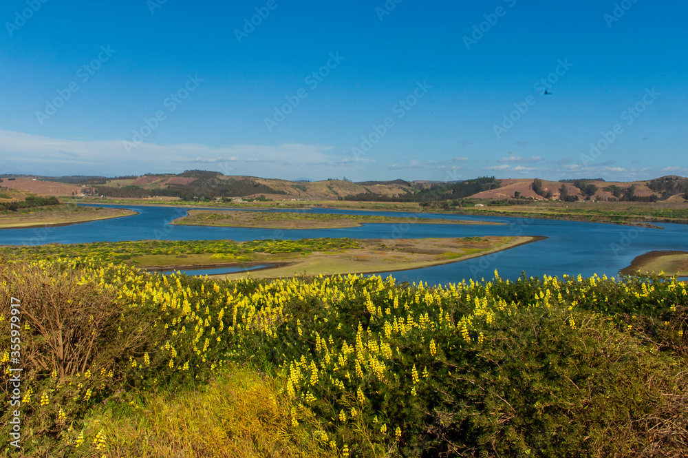 Desenbocadura Rio Rapel Navidad la boca sexta region Chile rio Flors naturaleza paisaje