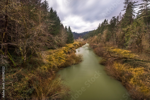 Beautiful landscape of water creek and forest in an overcast day