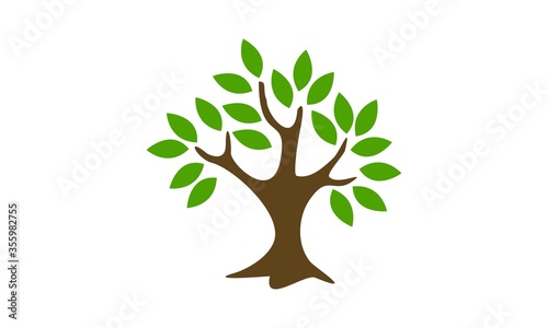  Tree with green leaf illustration icon design