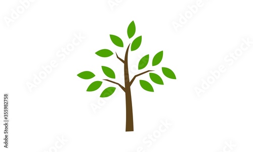 Tree with green leaf illustration icon vector