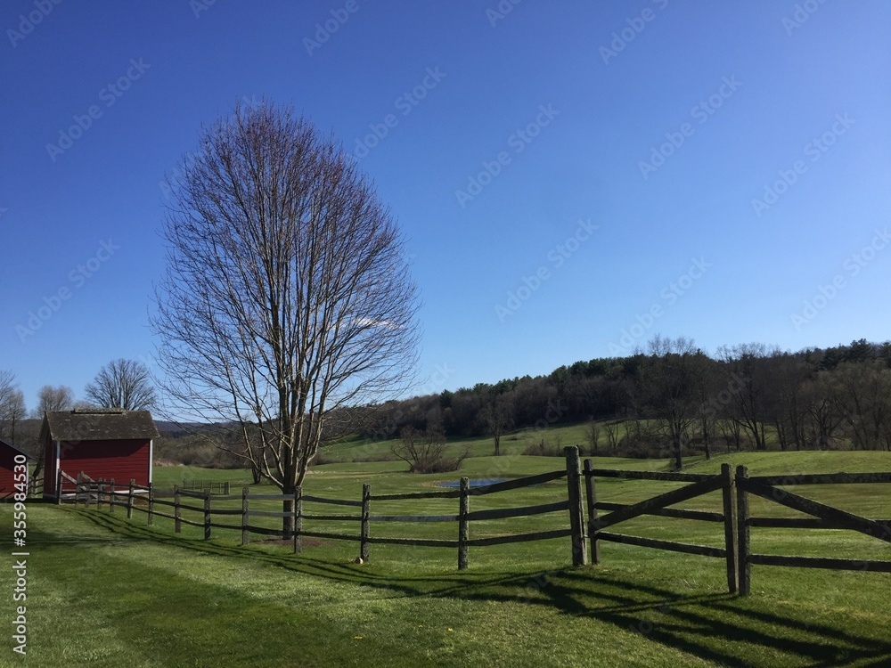 rural landscape with a fence