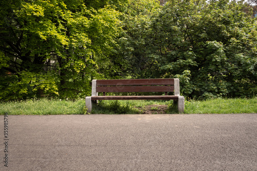An empty bench by the park alley on a warm, sunny day